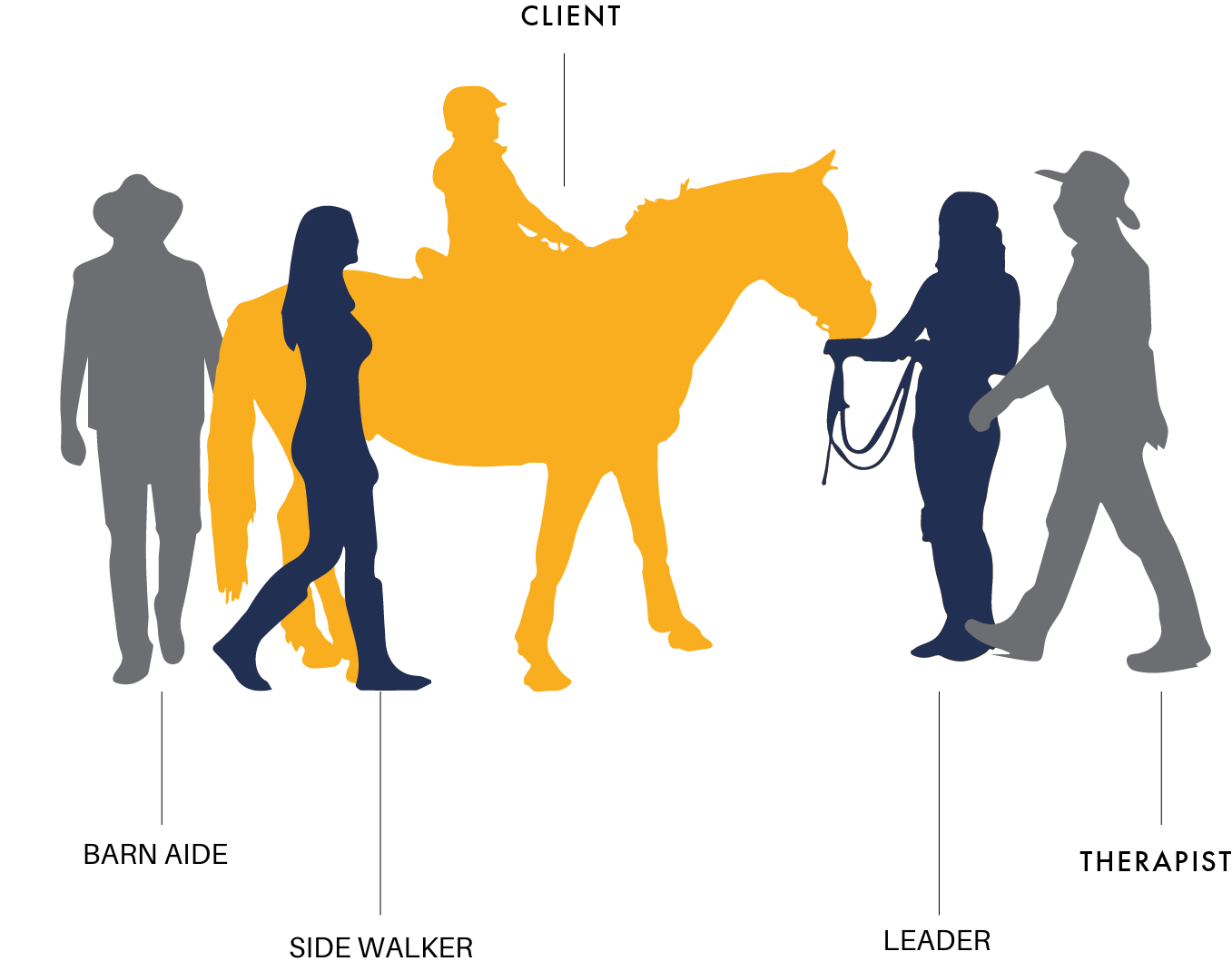 Volunteer Infographic (1) Volunteer Graphic