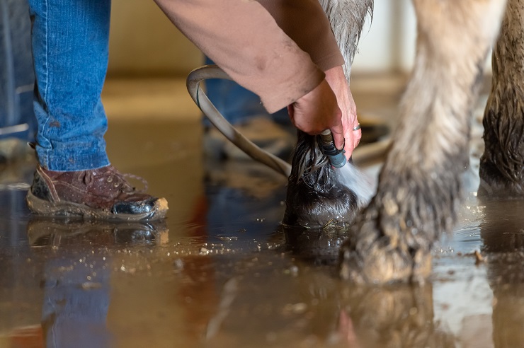 Muddy feet website