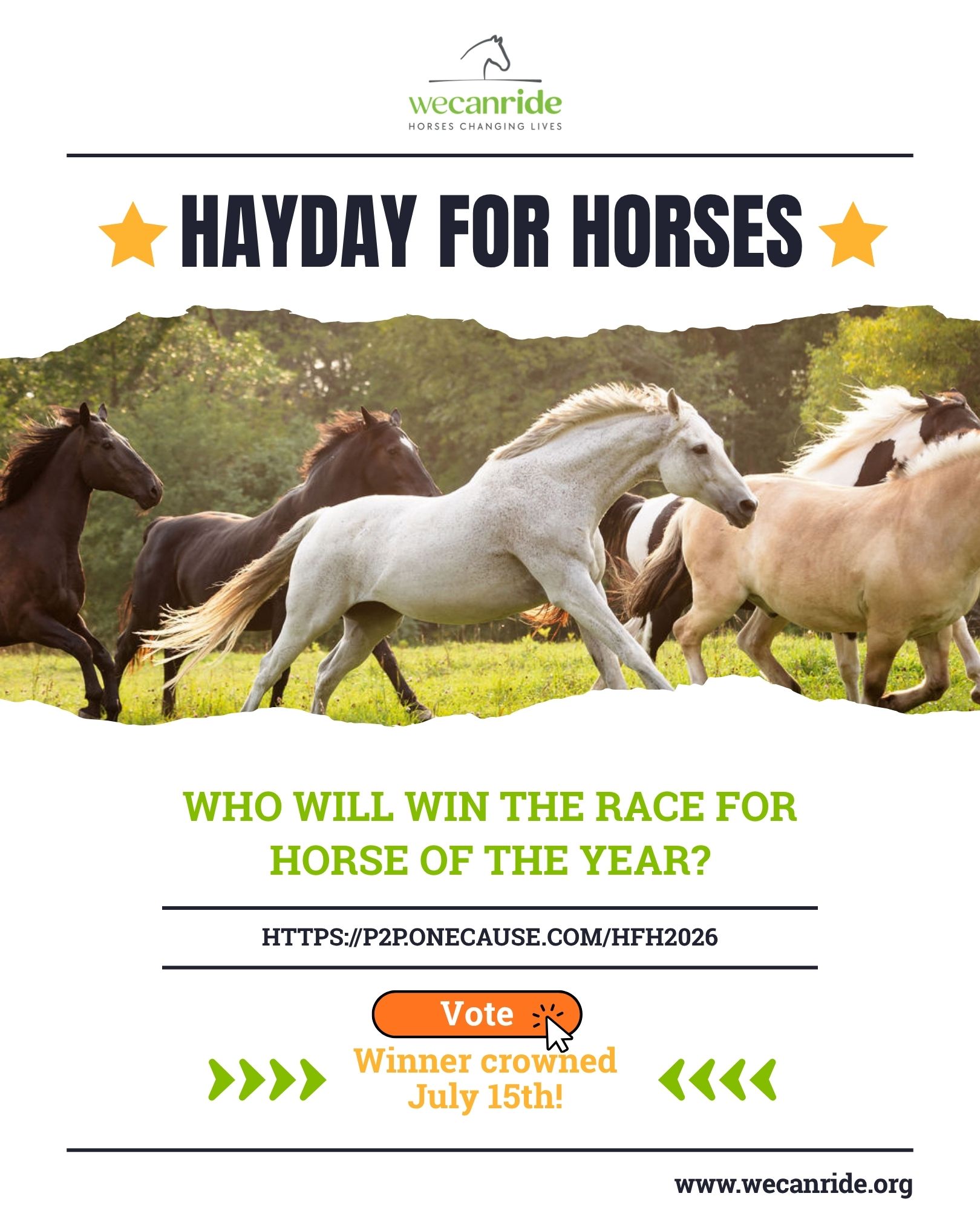 Hayday for Horses Website Poster